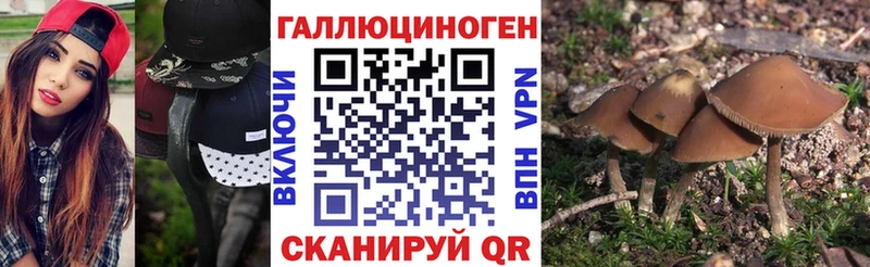 Галлюциногенные грибы мицелий  Минусинск 