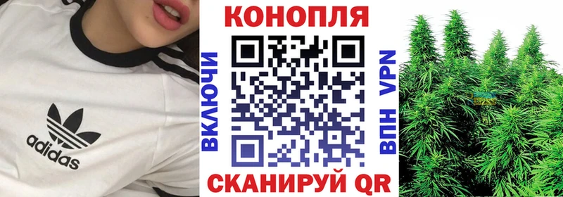 купить наркотики сайты  Минусинск  Бошки Шишки конопля 